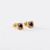 A Dynasty 6 Mm