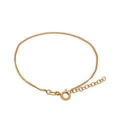 P Cubanita IT 1 mm 15 Cms + Ext